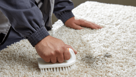 Professional Rug Cleaning Moorooduc